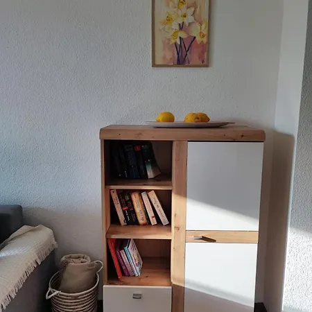 Alte Muehle In Bei Dresden * فرايتال